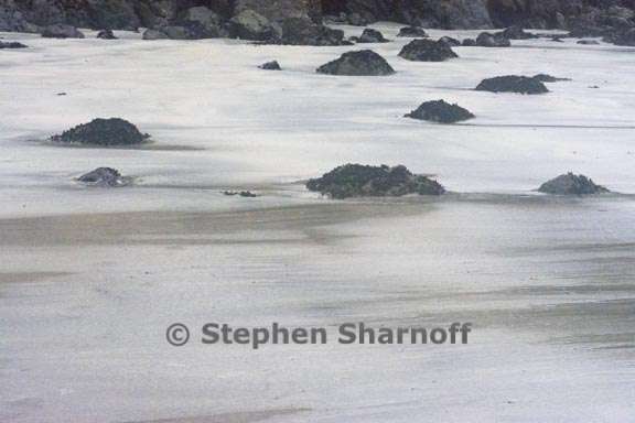 beach with rocks 3736 1 graphic